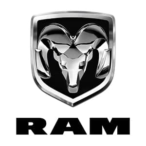 RAM ProMaster Touch Up Paint