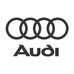 Audi e-tron S Touch Up Paint