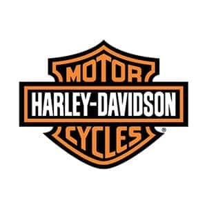 Harley-Davidson Sportster 883 Touch Up Paint