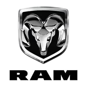 RAM 2500/3500 Heavy Duty Touch Up Paint
